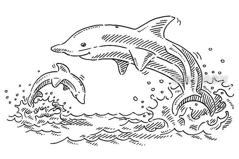 Happy Dolphins In The Sea Drawing